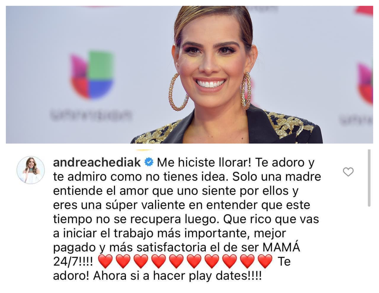 <b>Andrea Chediak</b>, quien 
<b><a href="https://www.univision.com/shows/despierta-america/ya-nacio-el-bebito-de-andrea-chediak-y-esta-es-la-primera-foto-de-diego-con-su-mama-fotos" target="_blank">se convirtió por primera vez en madre</a></b> en octubre de 2019, reconoció que las palabras de Ana Patricia "la hicieron llorar" y la comprendió al escribir que "solo una madre entiende el amor" hacia sus hijos.