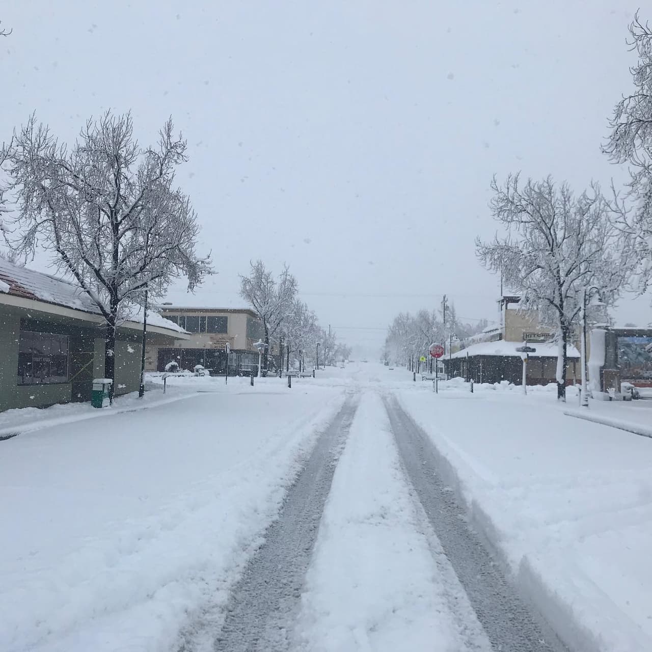 La ciudad informó que debido a las condiciones climáticas, el servicio de recolección de basura ha sido retrasado y los horarios y rutas han sido modificadas.