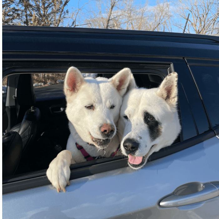 Hana y Hachi estuvieron hace poco de viaje familiar