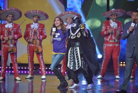 Teleton 2014