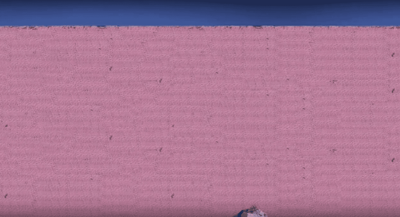 De color de rosa porque Trump prometió un hermoso muro.