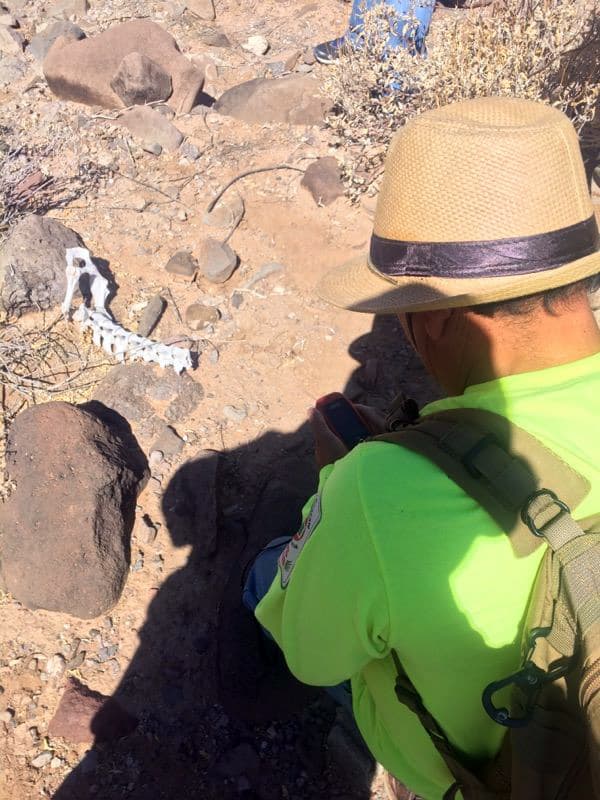 Voluntarios toman fotos y guardan las coordenadas para pasar la información a las autoridades.
