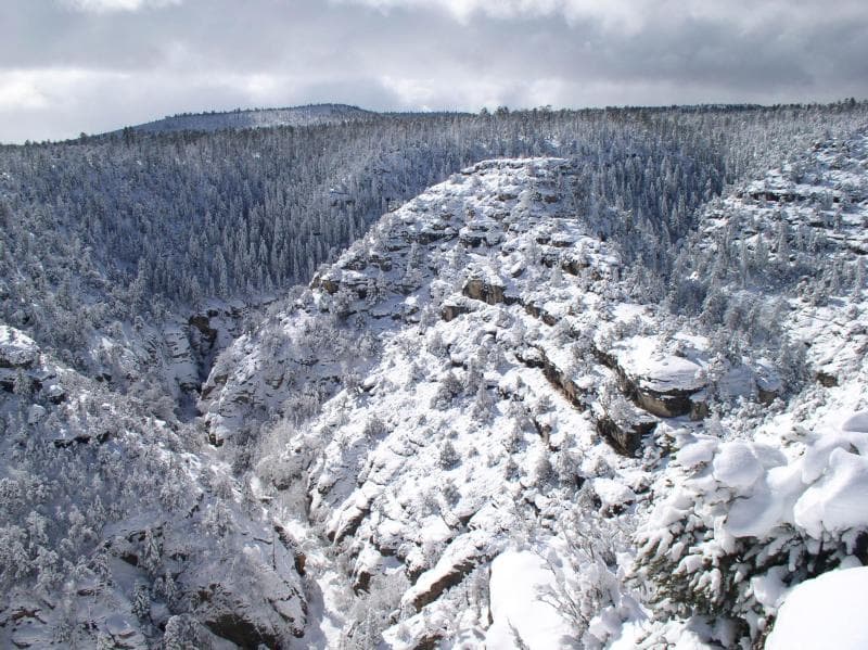 Hace más de 700 años los habitantes del cañón Walnut, en Arizona, realizaban este recorrido. El parque conserva la zona y permite a los turistas observar sus casas y las viviendas ubicadas en el acantilado: en los muros del cañón. La presencia de agua en tierras secas hizo del cañón un recurso único y valioso para sus primeros habitantes. Hoy en día sigue siendo valioso como hábitat de plantas y animales. Vea por sí mismo, recorra senderos que bordean y se adentran a las profundidades del cañón.