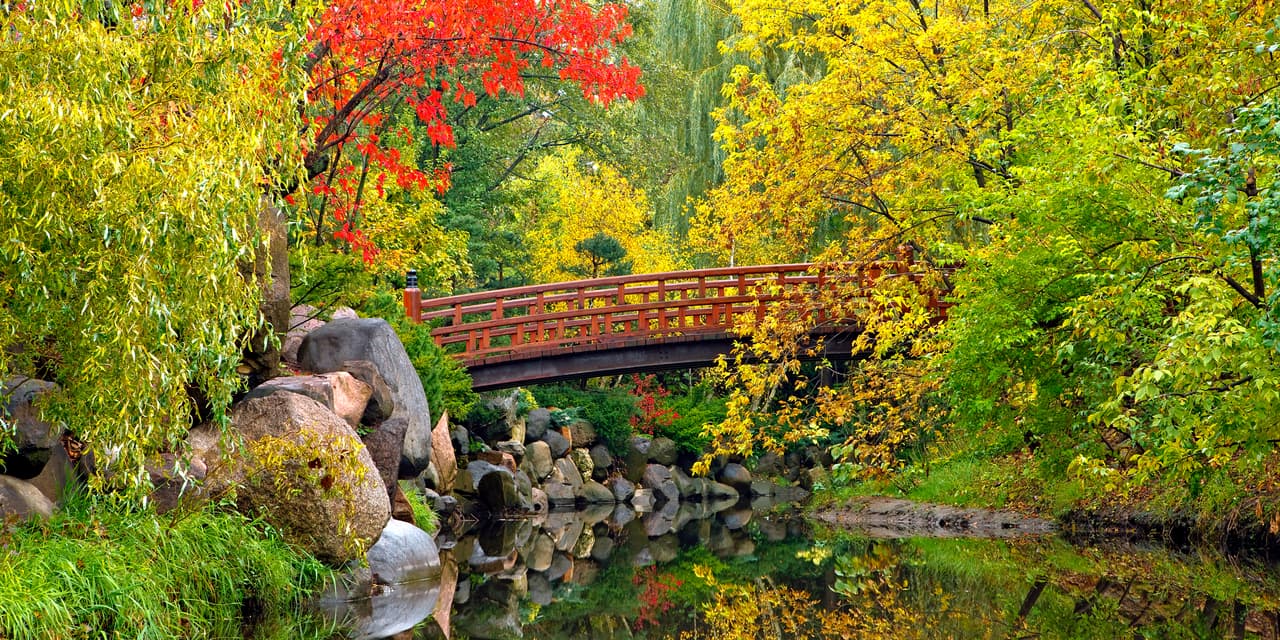 Anderson Japanese Gardens evolucionó a partir de la visión de un individuo para crear un servicio único para la región de Rockford hasta convertirse en un jardín público de renombre internacional.