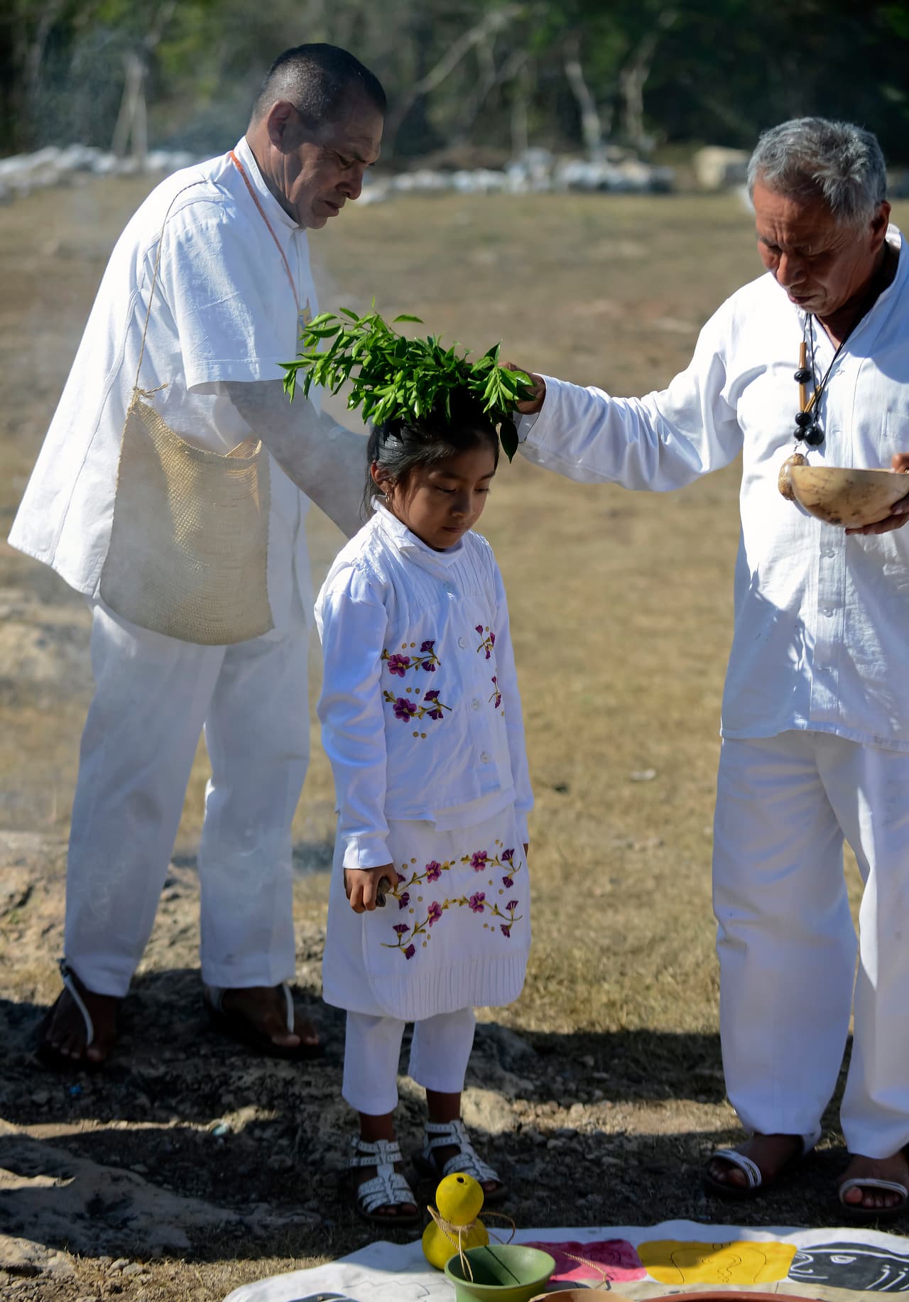Para ayudar a deshacernos de la mala energía y limpiar el aura, en estas limpias mayas no debe faltar un ramo de hierbas, que pueden estar compuestas de varias plantas, como la ruda (excelentes para limpiar malas energías y calentar el cuerpo), así como salvia santa o planta de chilca, que son muy buenas para sanaciones.