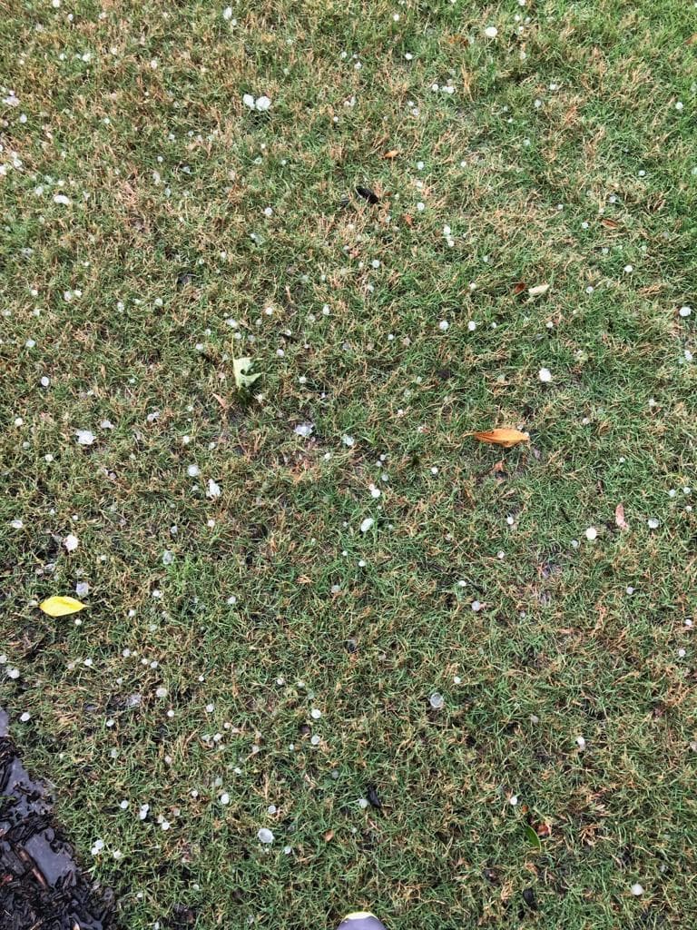 Aquí parte del granizo que cayó en la casa de Mark en Lewisville quien dijo que el granizo fue bastante grande y estuvo cayendo como por cómo 30 segundos. Mark cree que su camión tuvo daños.