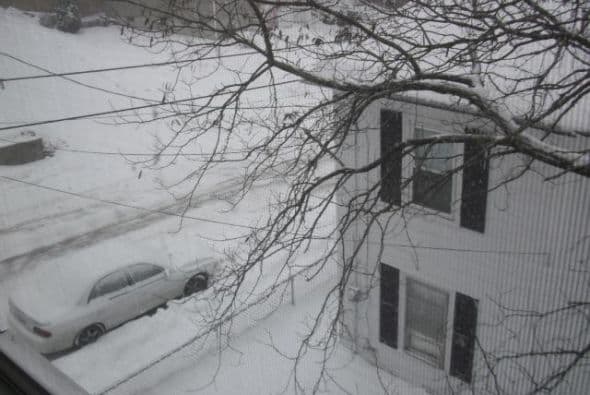 Lo mismo que Neyza Lee Miranda, desde Haverhill, donde la nieve cubre todo el paisaje.