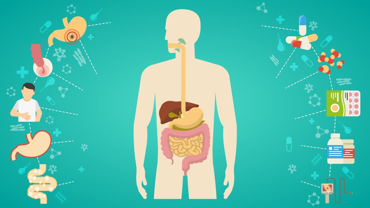Los trasplantes de heces: ¿en qué consisten y para qué sirven?