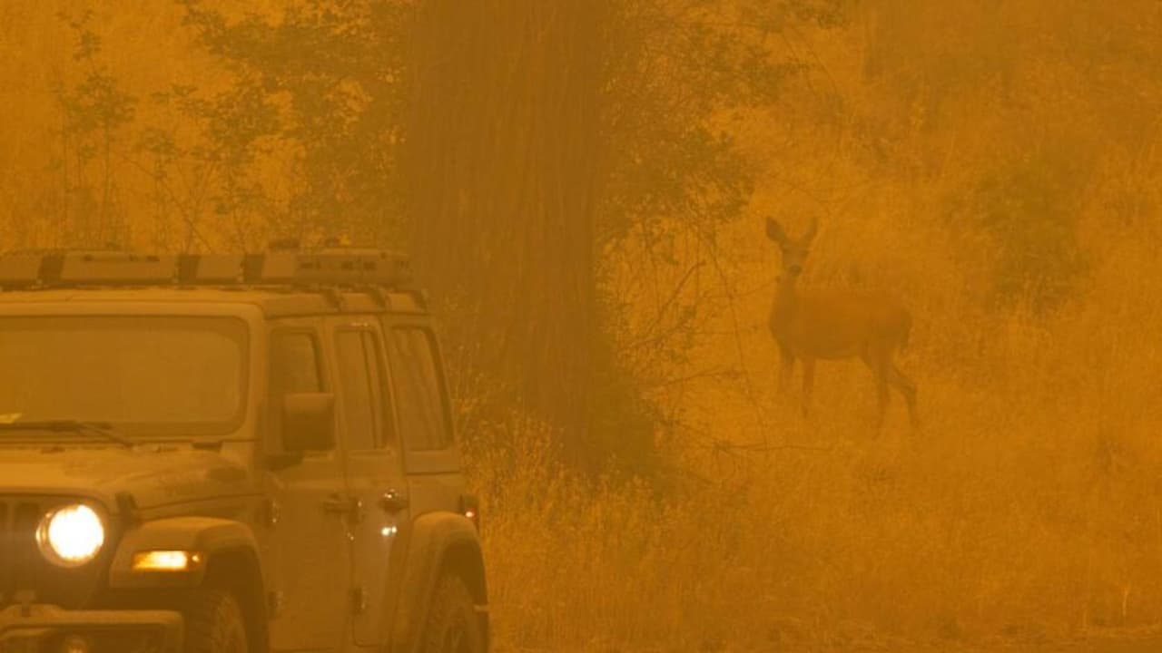Las otras dos víctimas fueron encontradas el lunes en residencias separadas a lo largo de la misma ruta estatal 96 en el perímetro del incendio.