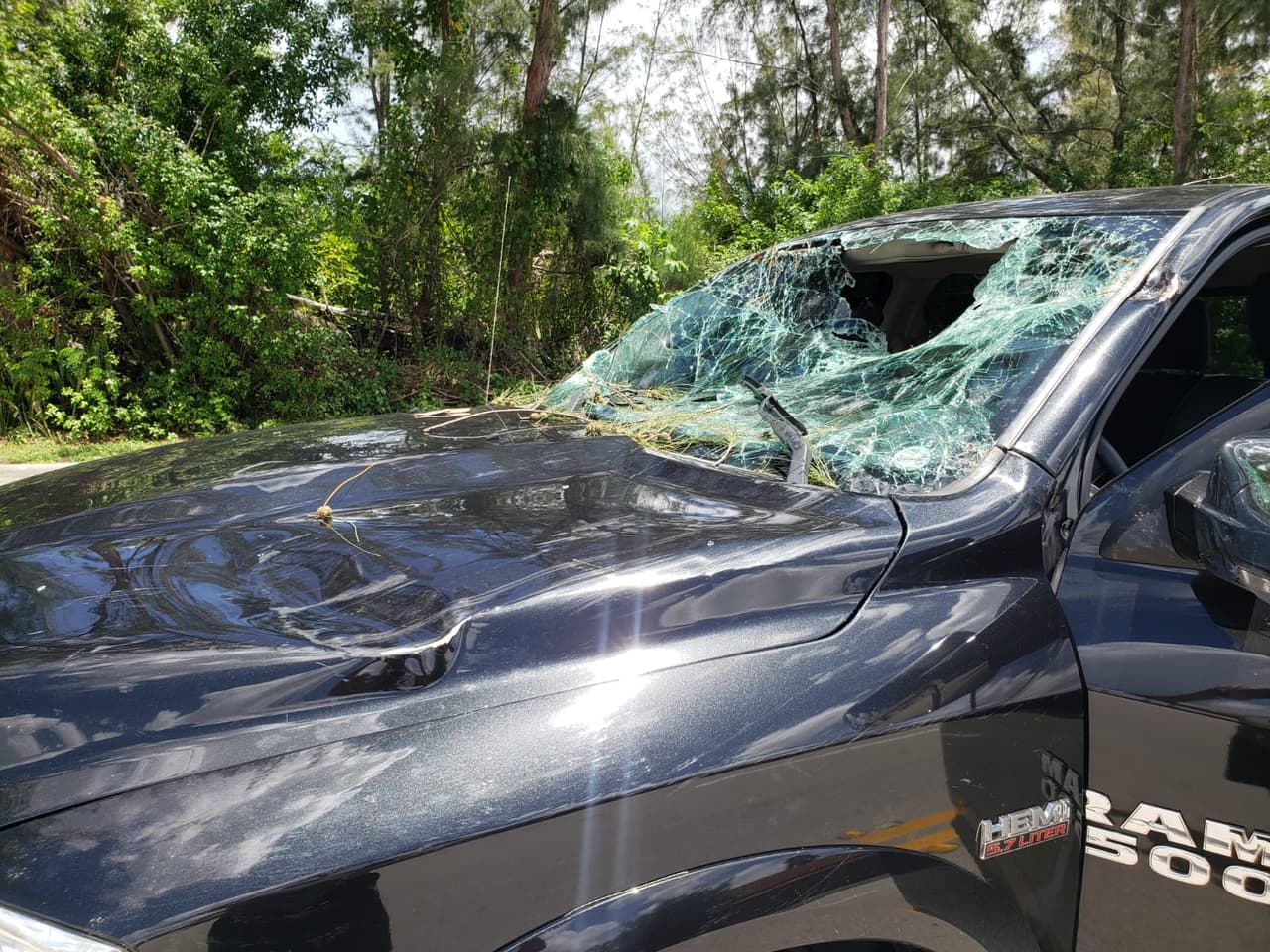 Cuando Fernando Ramos salió un domingo con su pequeña hija en su camioneta Dodge Ram a realizar unas compras, jamás imaginó que, a pocos metros de su casa, una enorme y gruesa rama cayera sobre el vehículo.
<br>