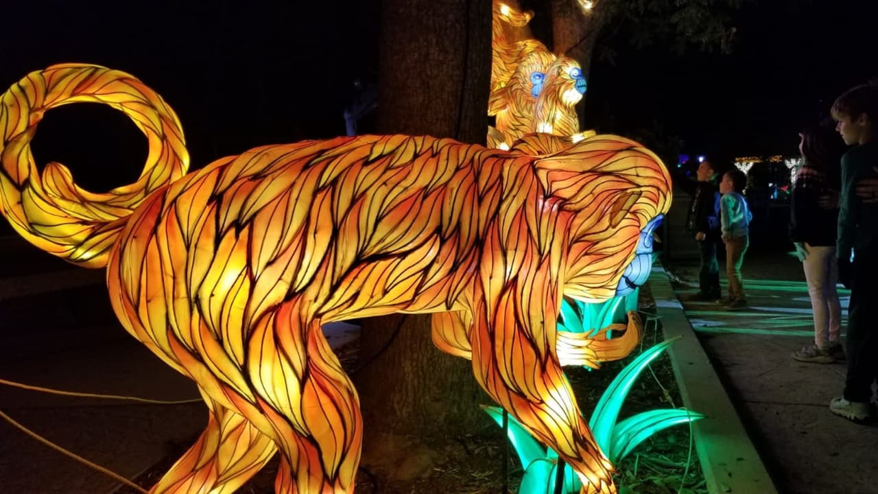 Algunas figuras están completamente relacionadas con la vida animal.