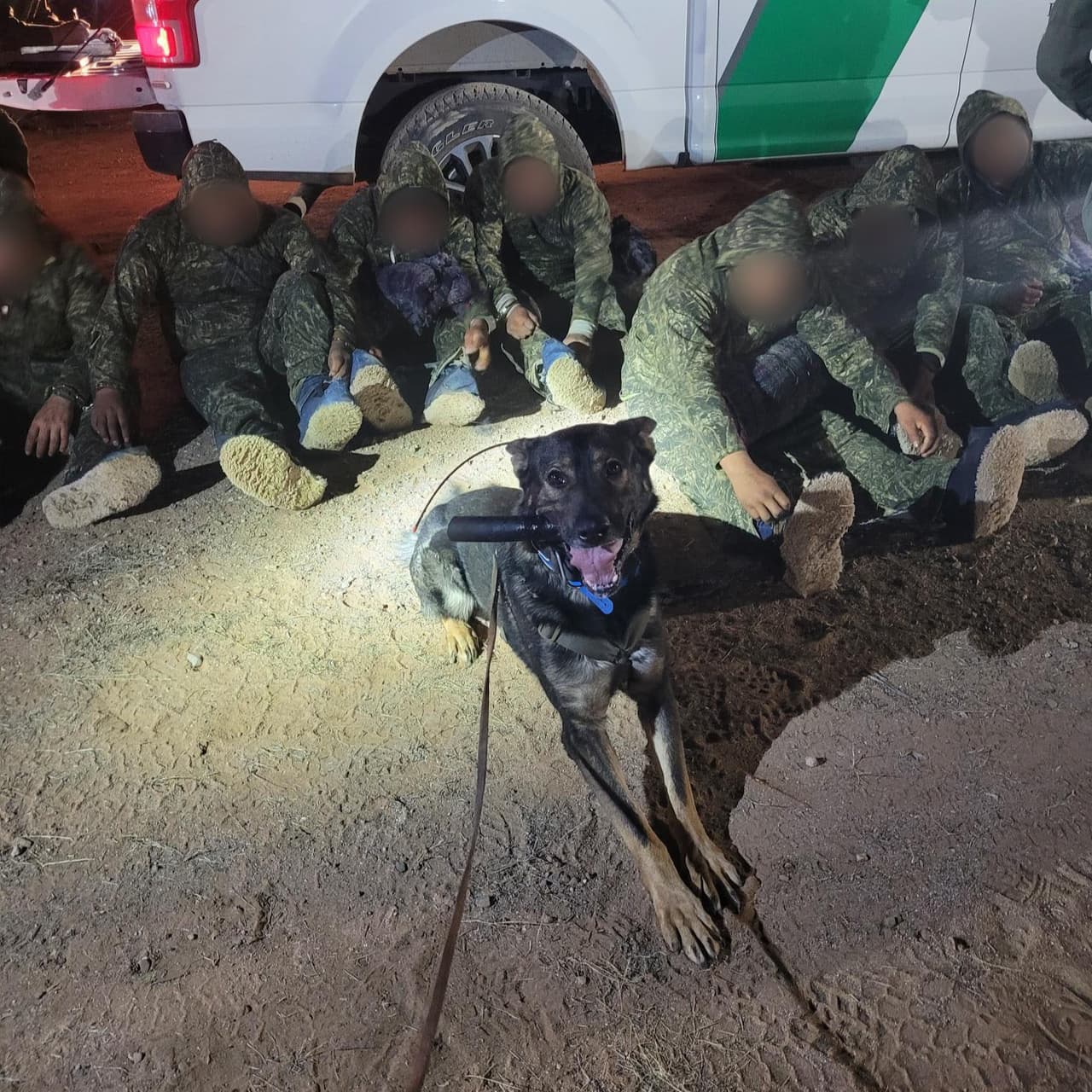 El viernes, agentes de la estación Tucson tuvieron apoyo aéreo y de un K9 para localizar a un grupo de ocho adultos procedentes de México y Guatemala.