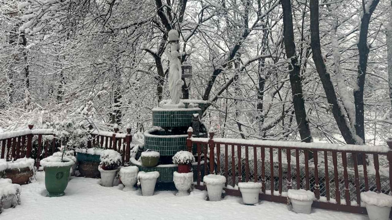 En 
<b>Nueva Jersey y Long Island se registran algunas de las nevadas más intensas</b> del sistema, con pronósticos que anticipan entre 4 y 6 pulgadas, y acumulaciones locales que podrían alcanzar hasta 7 pulgadas.