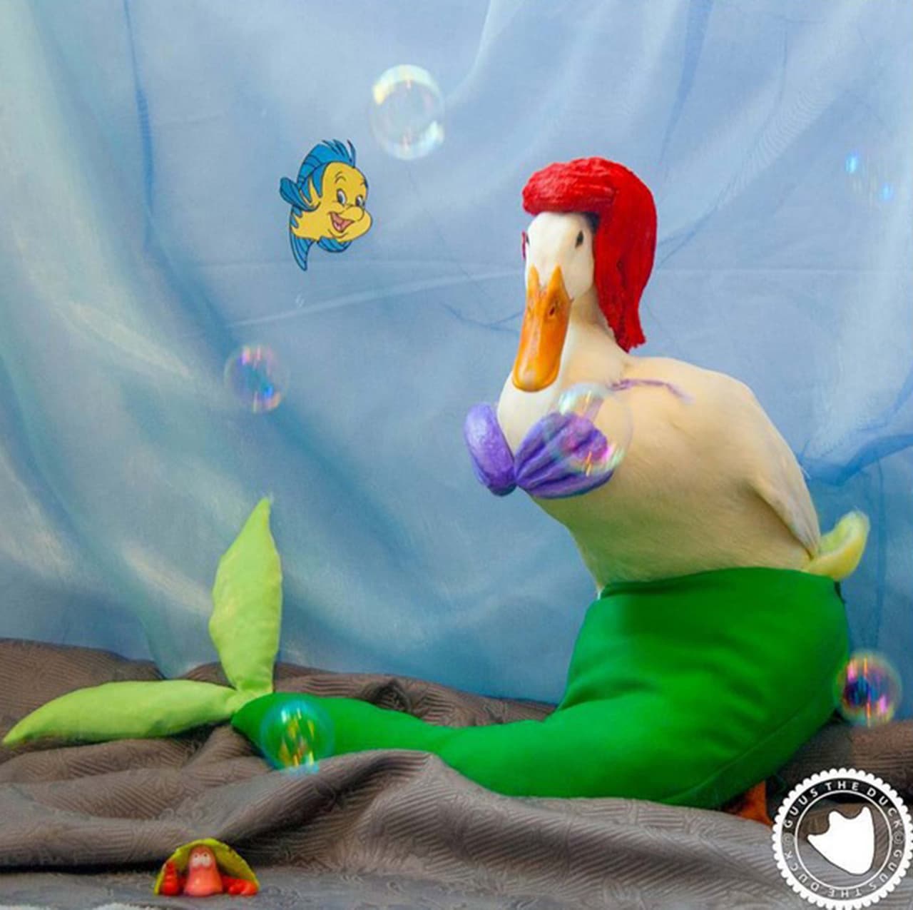 También representa personajes de película, pues uno de sus sueños es ser actor.