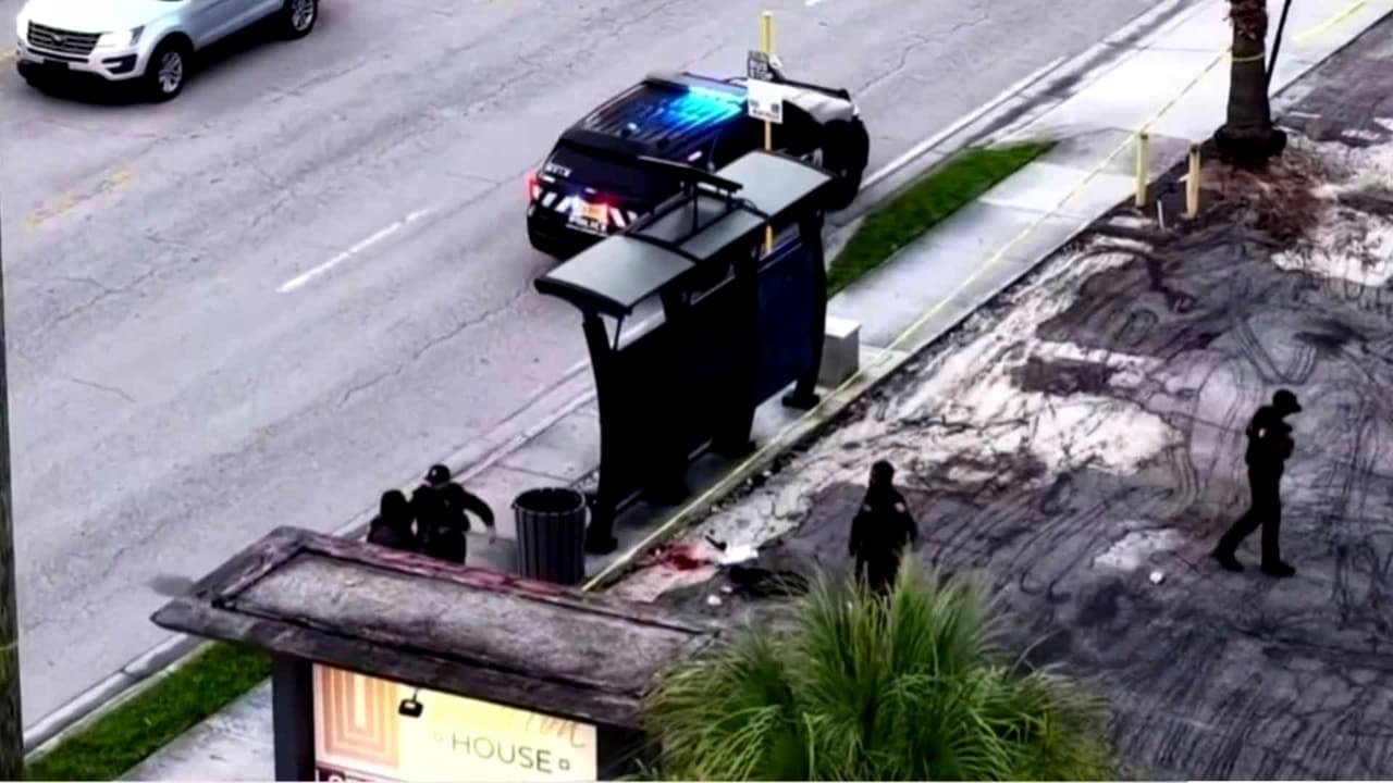Tiroteo en Wilton Manors deja a una mujer herida: hay un detenido