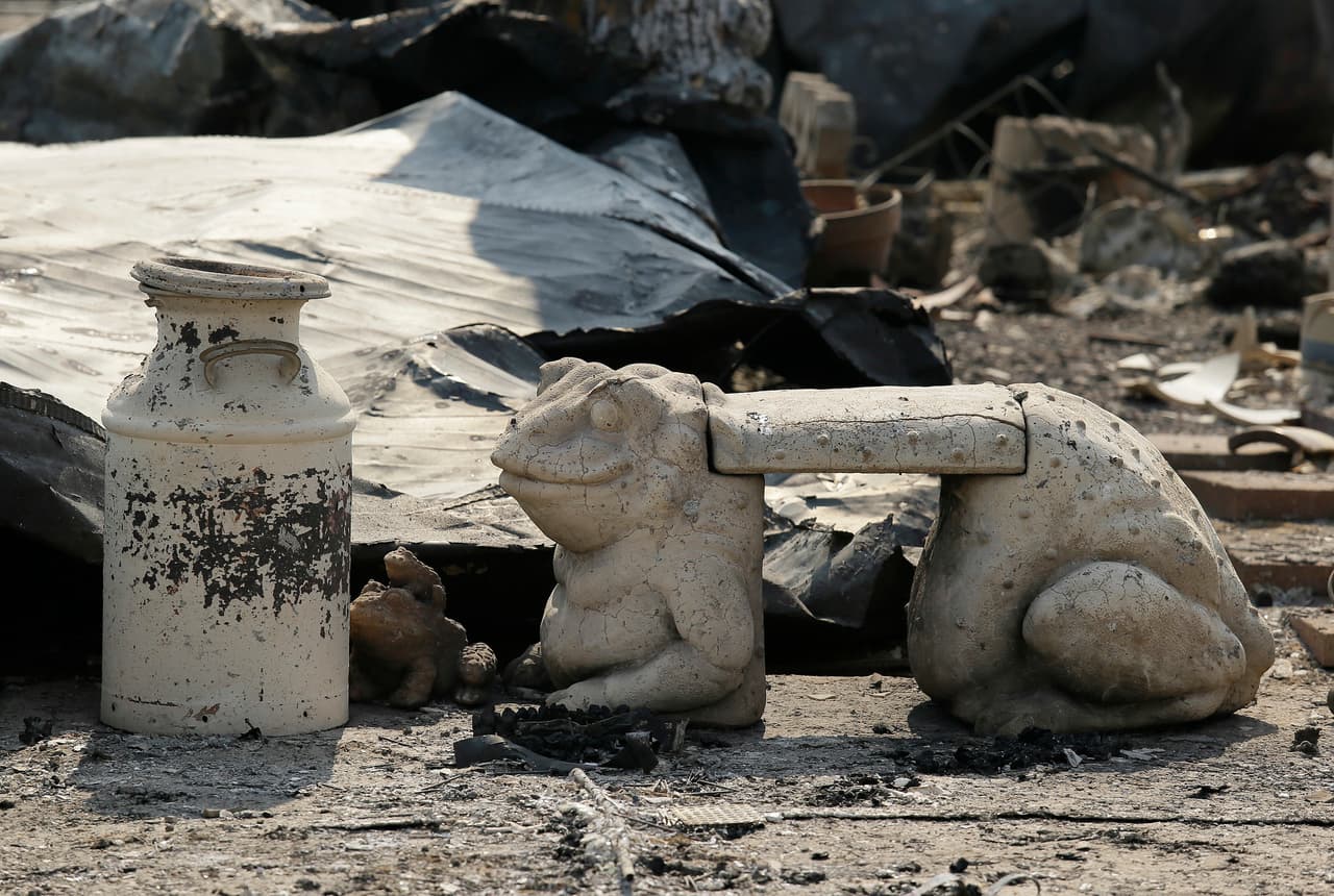 Un jarro y la estatua de un sapo es todo lo que quedó de un jardín.