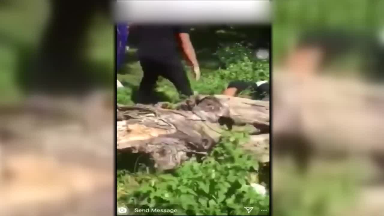 Imágenes del momento cuando golpean y patean a un estudiante afuera de una escuela de Miami 