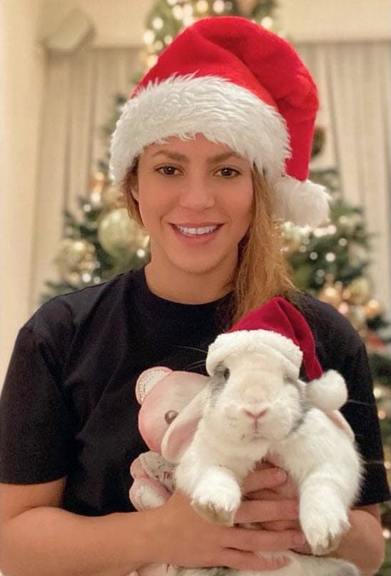 <b>Shakira</b> envió su mensaje posando con un miembro especial de su familia: "¡Feliz Navidad de parte de Toby y en nombre de todas las conejitas del mundo!".