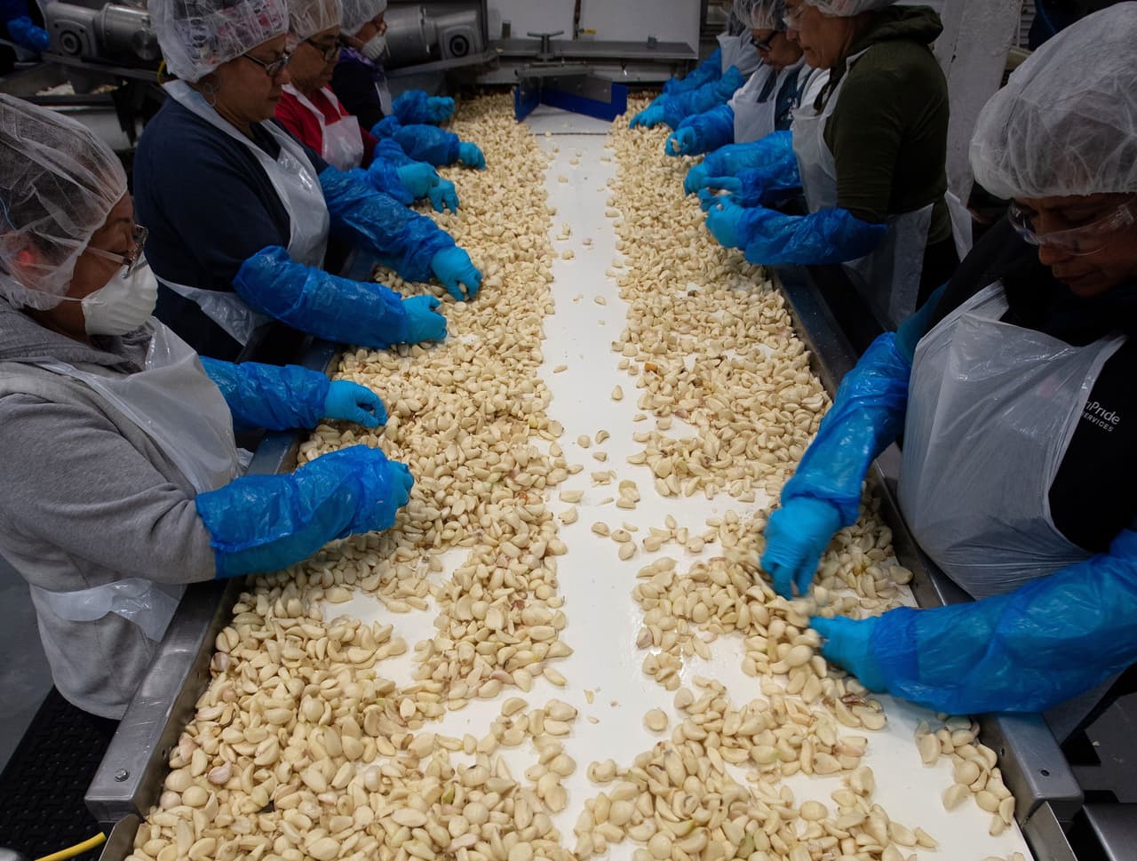 Mexicanos vinieron a trabajar con visa, pero quien los trajo les pagó mal