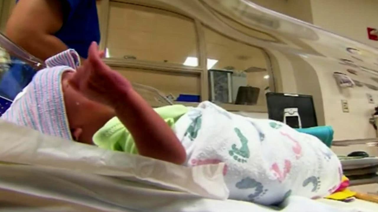 Nuevas Reglas de Inmigración: ¿Limitar la ciudadanía por nacimiento, un desafío a los poderes?