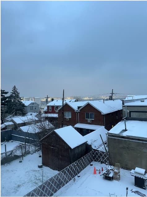 Los usuarios de Univision compartieron la vista de la nieve desde sus apartamentos o casas.