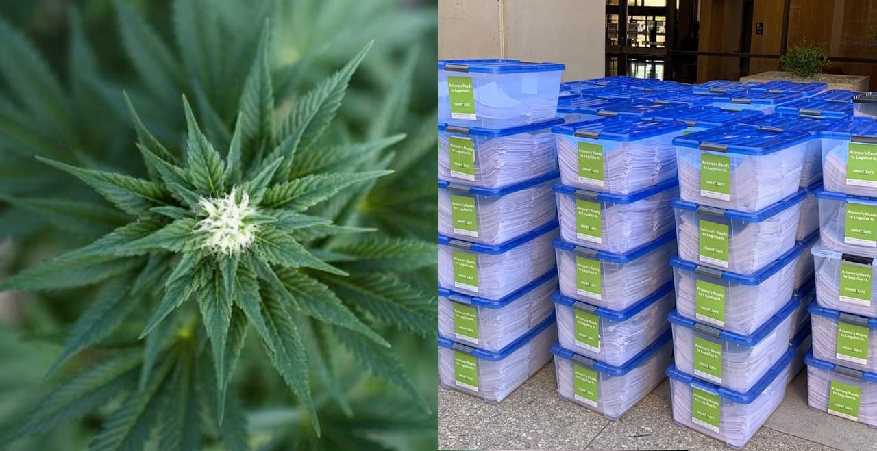 Corte Suprema de Arizona aprueba que propuesta de legalización de la marihuana recreativa aparezca en boleta electoral