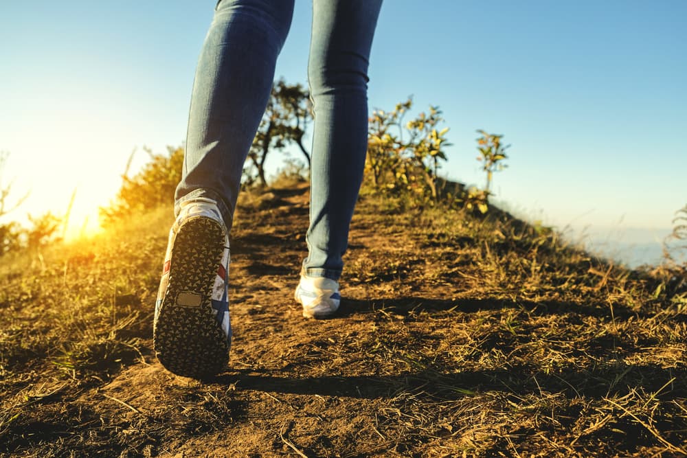 Presta atención a cualquier sensación, visión o percepción que recibas a medida que vas andando por ese camino.