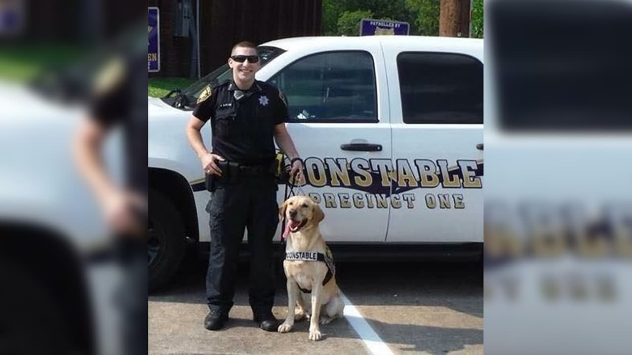 El oficial K9 Buzz falleció a la edad de trece años.