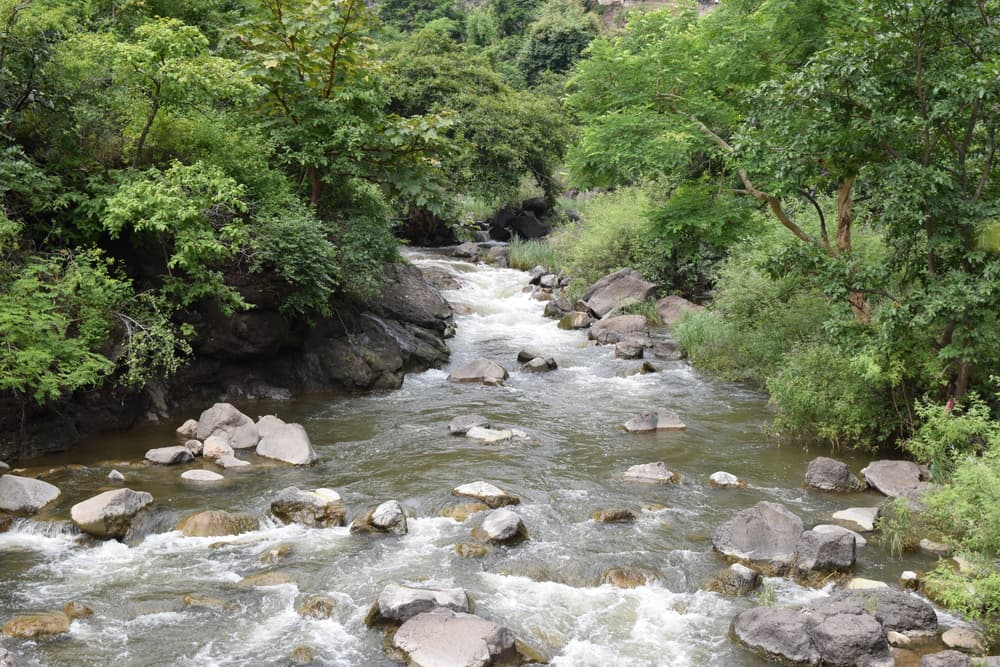 Luega bota el coco fuera de tu casa en un lugar donde haya una corriente de agua, como un riachuelo, para que se vaya todo lo negativo en tu relación.