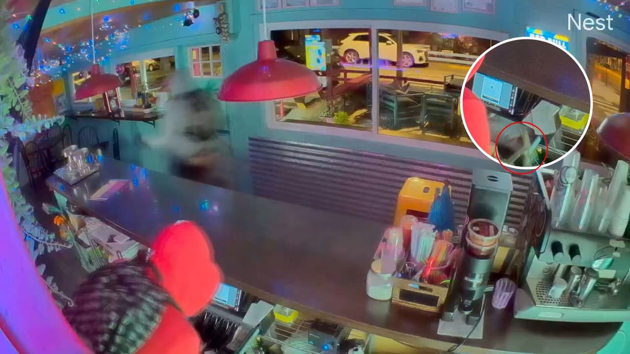 Asaltan negocios en Irving Park: Video de seguridad muestra a delincuentes con martillo en mano dentro de local latino