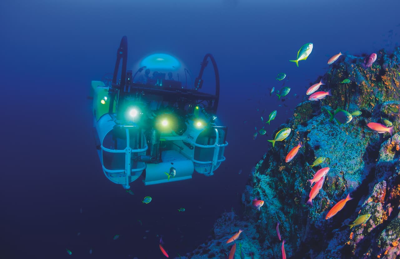 “El libro pretende retratar lo que sienten las personas al llegar a este lugar y las experiencias que se pueden vivir explorándola sobre y bajo el agua. Es un libro que engloba la historia de este lugar por donde han pasado desde grandes exploradores hasta balleneros y piratas”. dijo Luciano Capelli de Ojalá Ediciones.