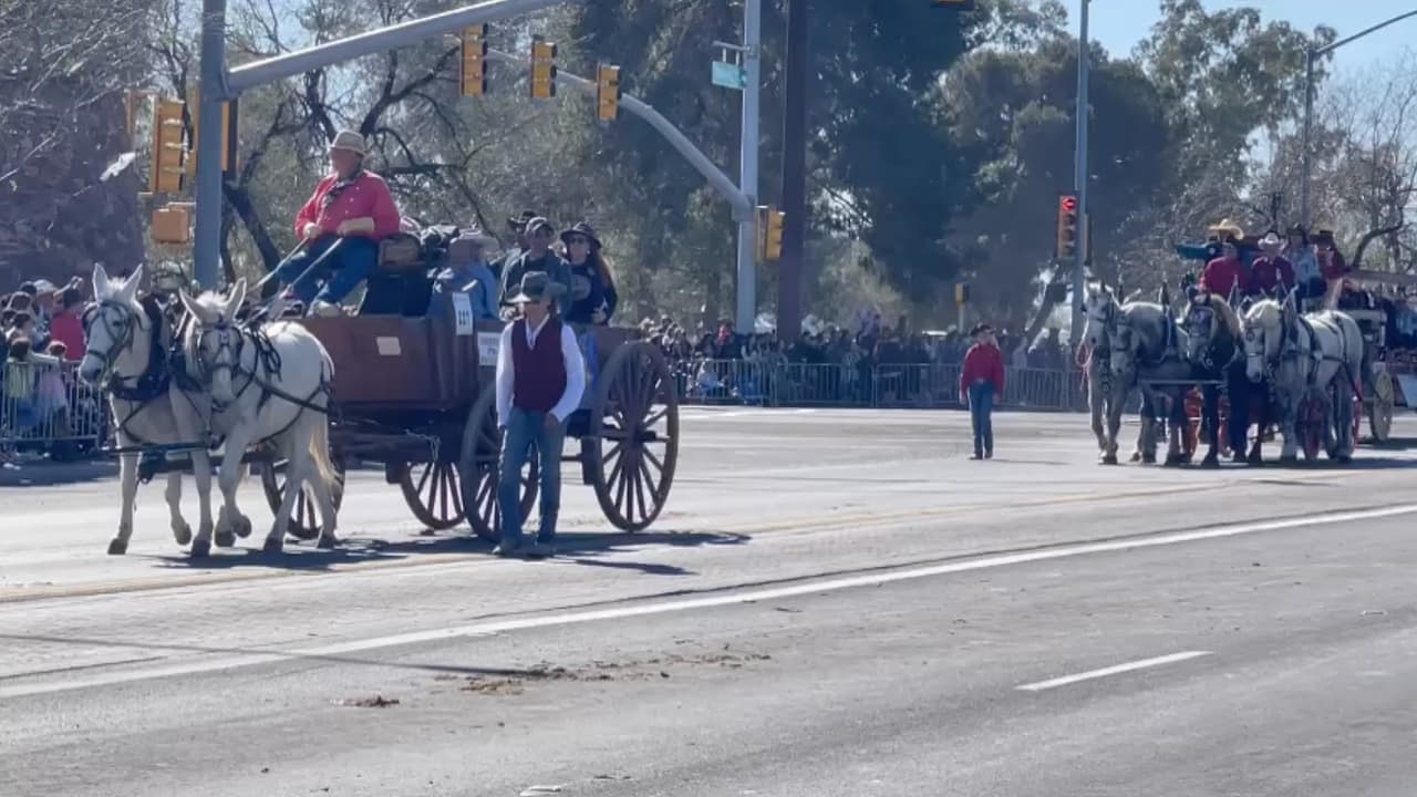 En este evento participaron más de 120 organizaciones, 2,300 personas, 500 caballos, 85 carretas y al menos ocho bandas de música, entre ellas de mariachi.