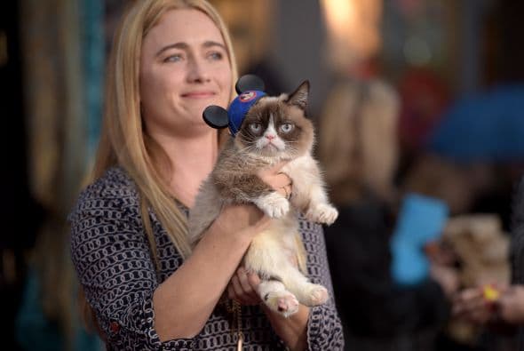 Una celebridad arizonense captó la atención de las cámaras durante la alfombra roja del estreno de la película de Disney "Cinderella". Sin embargo, no se trata de un actor, músico o atleta, sino del famoso Grumpy Cat, quien cautivó a más de uno con su carita de enojado. Hasta los cineastas de "Frozen" se tomaron una foto con el felino. Aunque parece molesto, al parecer al gatico le gustan las cámaras porque estuvo muy tranquilo mientras explotaban las luces de los fotógrafos.