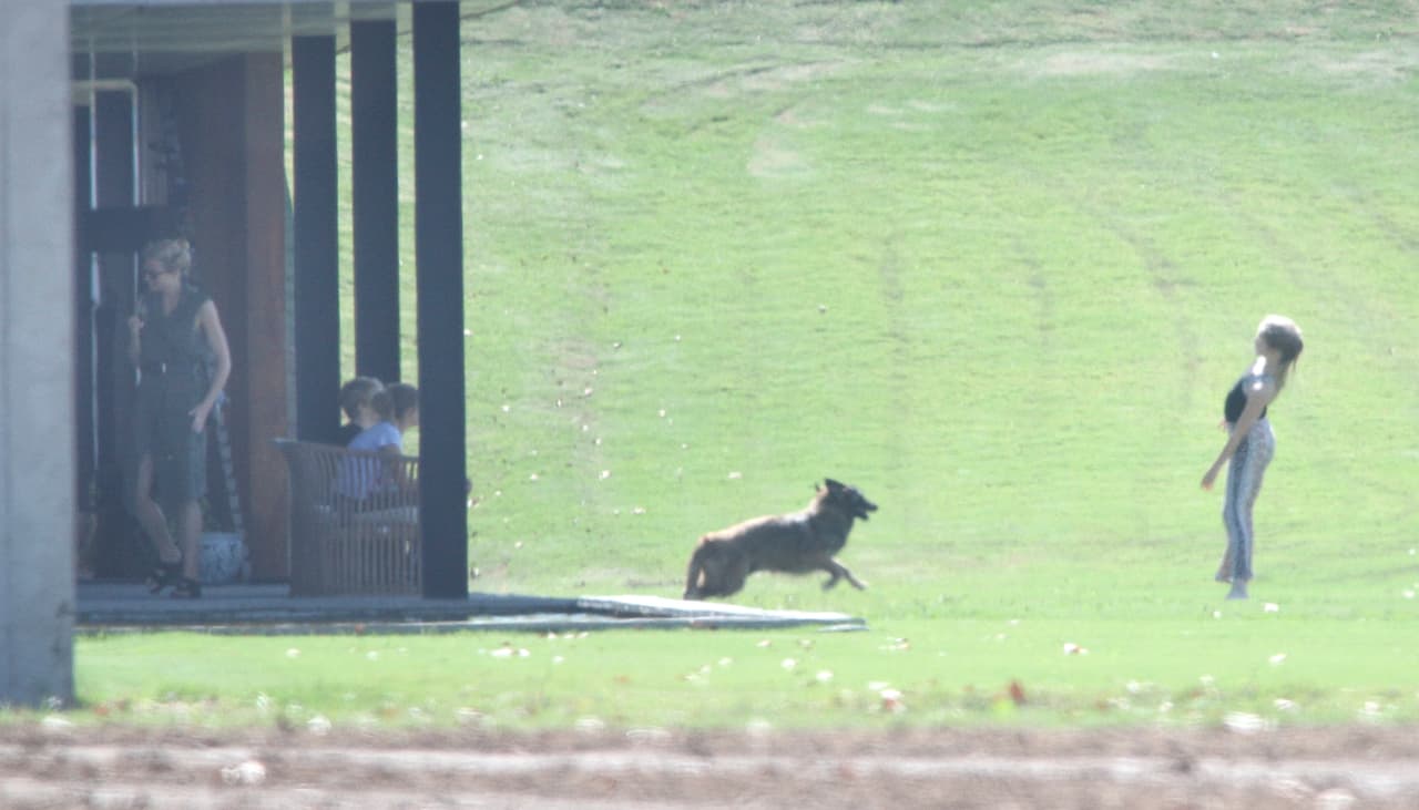 Pero quien se divirtió más fue Apple.