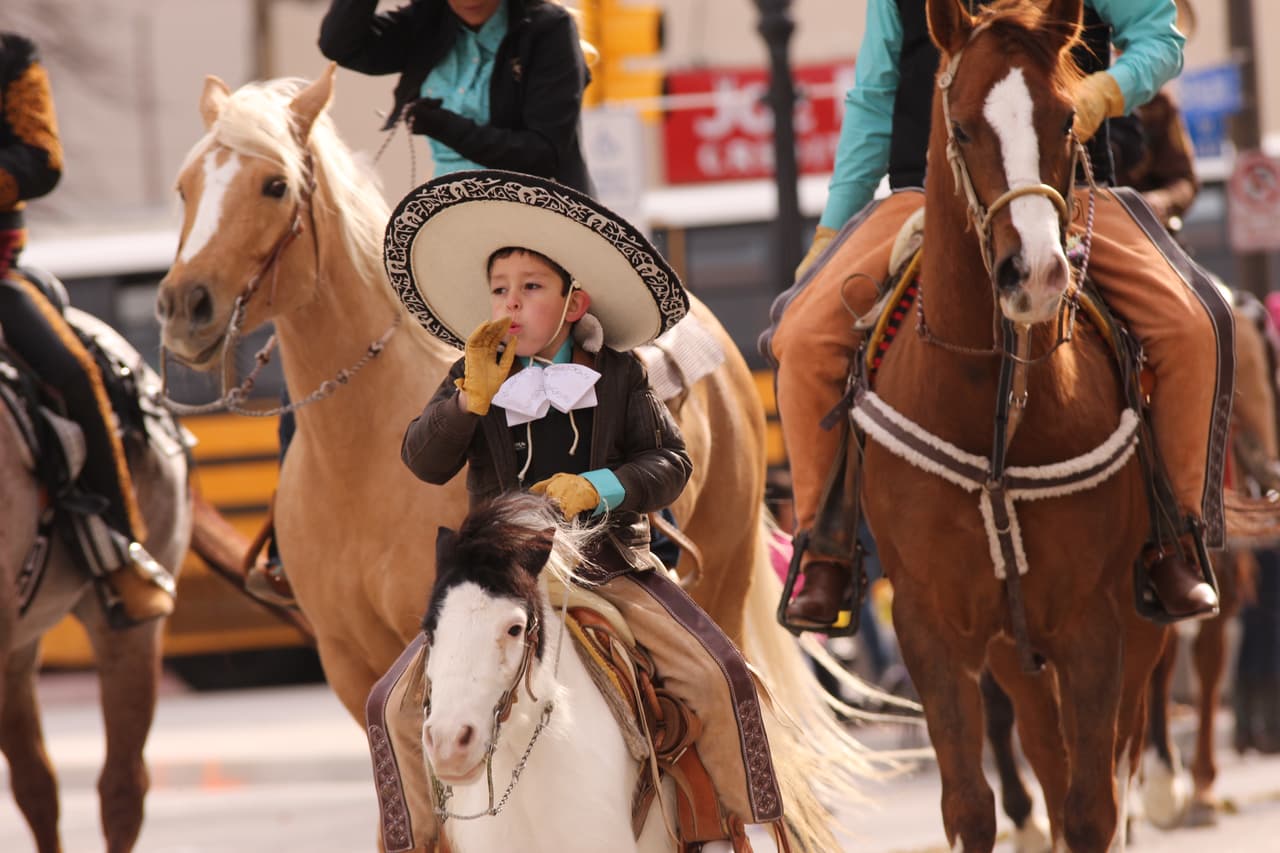 Y en donde la Banda Sinfónica de Zacatecas ganó el primer lugar de bandas