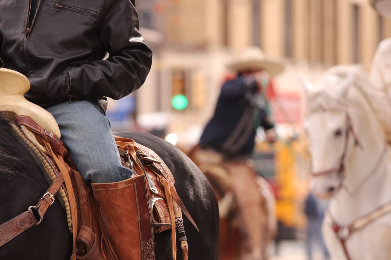 Y en donde la Banda Sinfónica de Zacatecas ganó el primer lugar de bandas