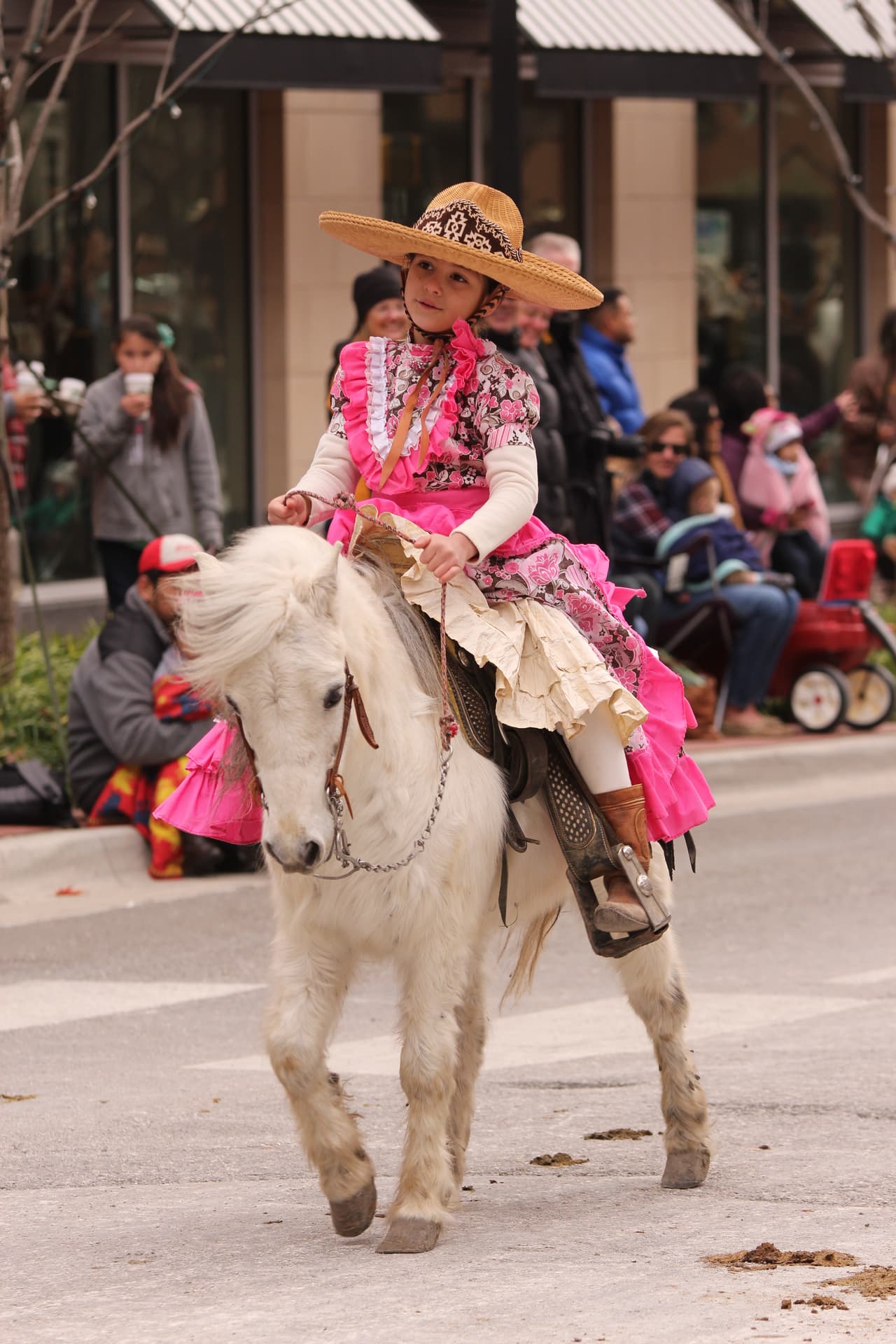 Y en donde la Banda Sinfónica de Zacatecas ganó el primer lugar de bandas