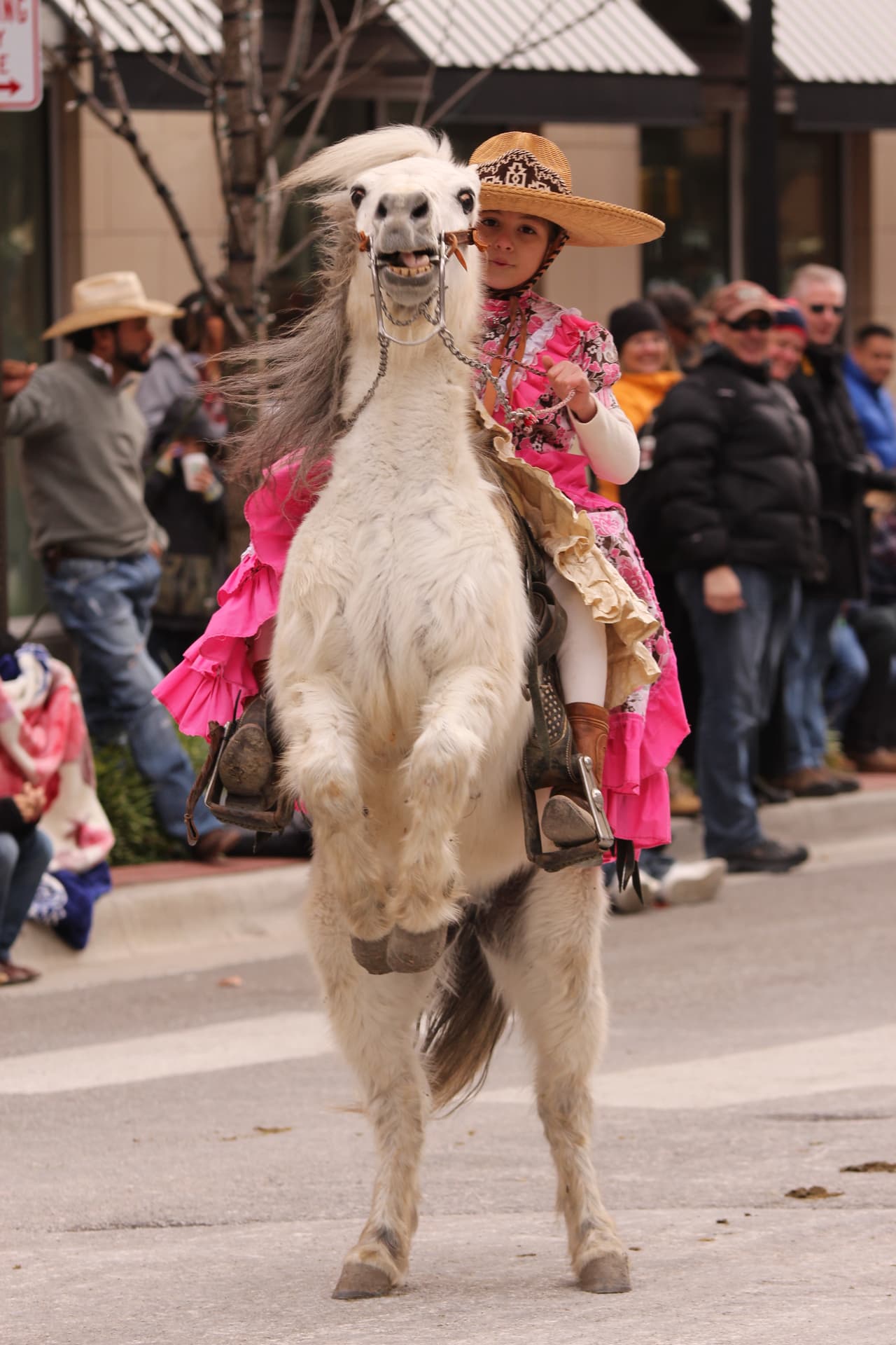 Y en donde la Banda Sinfónica de Zacatecas ganó el primer lugar de bandas