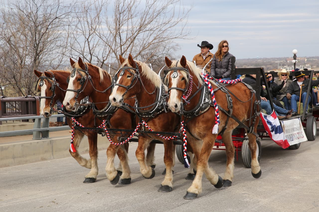 Y en donde la Banda Sinfónica de Zacatecas ganó el primer lugar de bandas