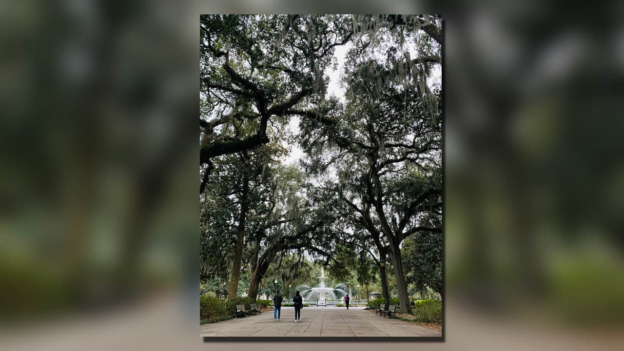 <b>SAVANNAH</b>. Savannah, la ciudad sureña por excelencia, atrae a millones de turistas cada año a sus encantadoras escenas de arquitectura victoriana, calles adoquinadas, robles cubiertos de musgo y ritmo pausado. Situada en la costa atlántica en el este de Georgia, Savannah es la ciudad más antigua del estado, rica en historia, hospitalidad y belleza natural. Un paseo por las calles adoquinadas del distrito histórico permite disfrutar de vistas y recorridos por hermosas mansiones antiguas y lugares históricos. También incluye hermosos parques, enormes robles, casas victorianas e importantes monumentos.