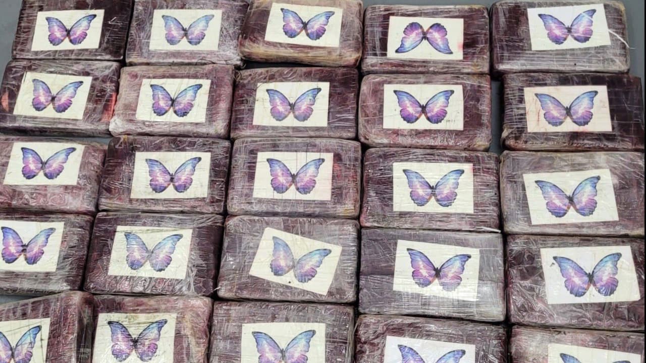 Alcaldesa de Tampa pesca paquete de cocaína con valor de $1.1 millones en Florida Keys