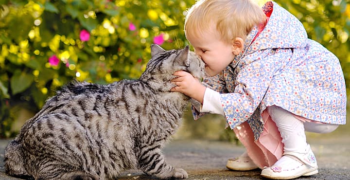 Pequeños héroes: adopta una mascota junto a tus hijos