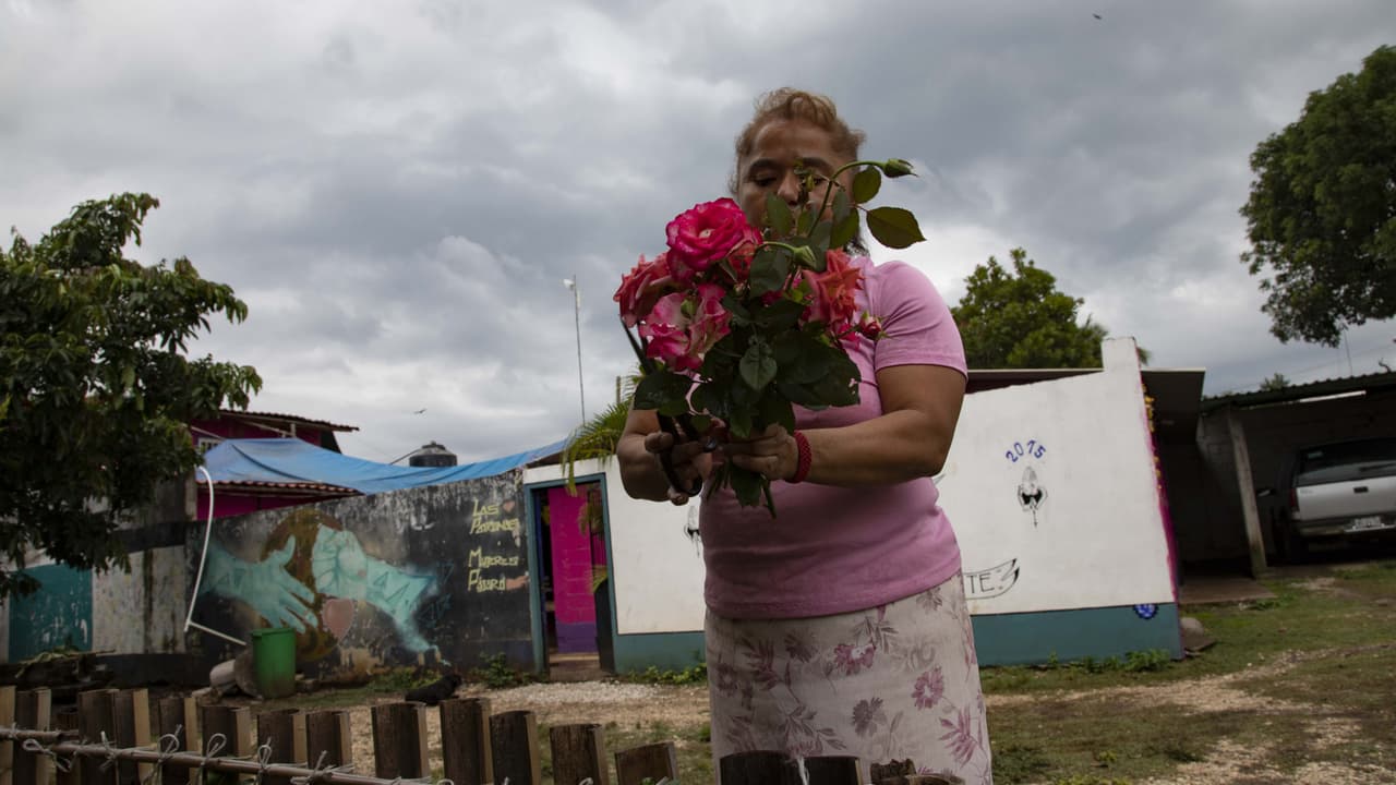 Migrar bajo el coronavirus: Las Patronas sobreviven y se reinventan durante la pandemia
