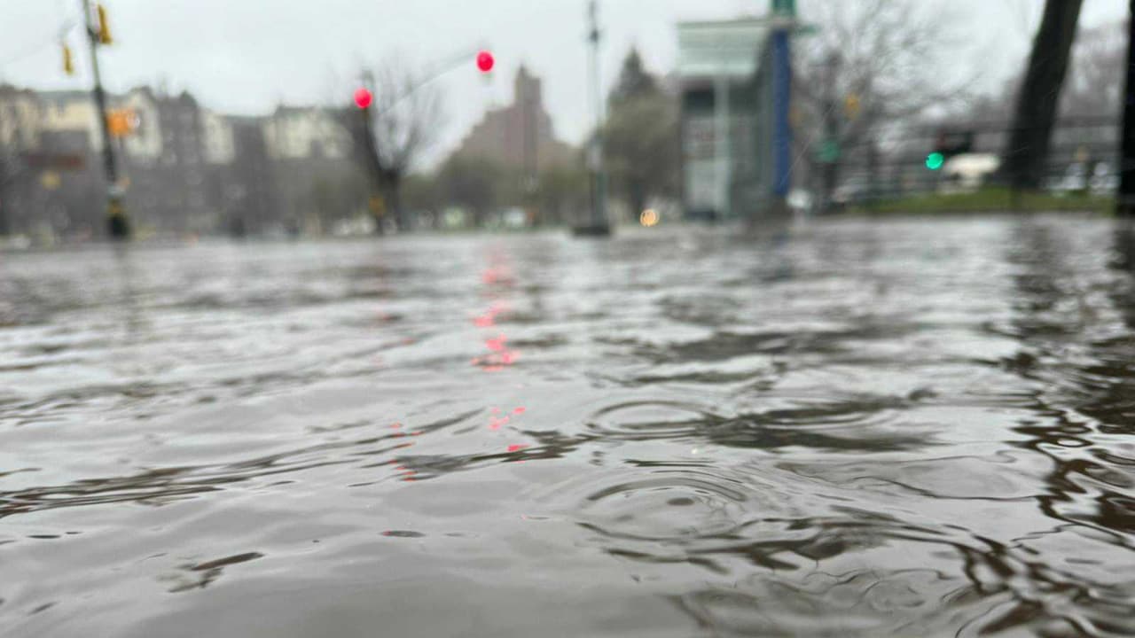 Avenida Coney Island junto a Prospect Park, Brooklyn