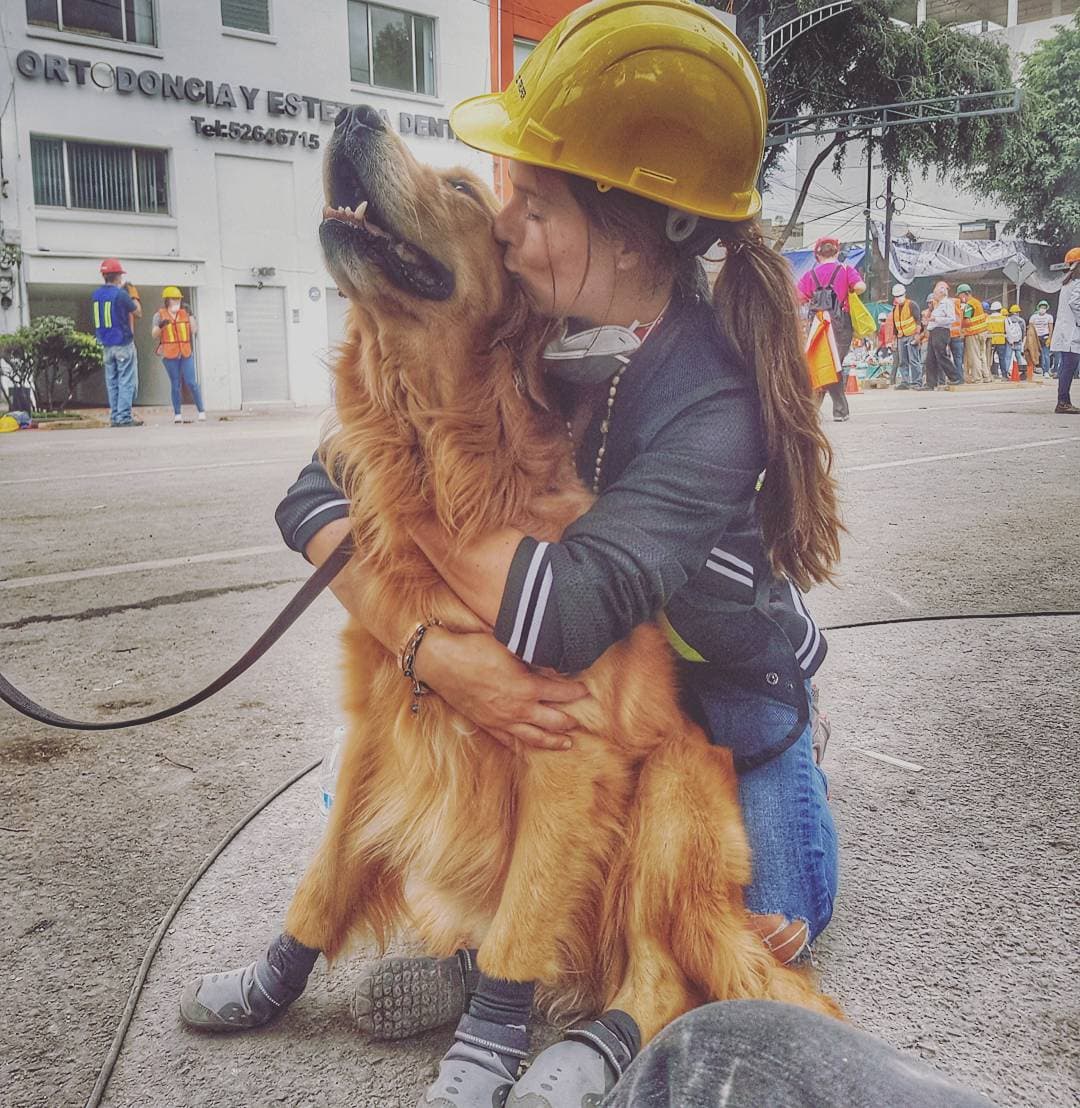 La actriz de 'En tierras salvajes' es amante de los animales, en especial de los perros.