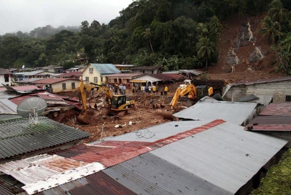 Estas medidas se tomaron debido a los animales muertos y cadáveres que estaban enterrados entre las ruinas que han dejado las inundaciones.