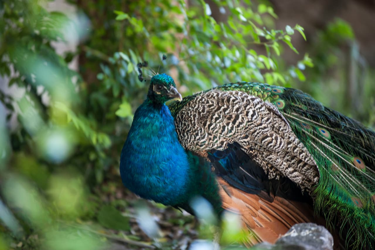 Un bello dia fue perfecto para las familias desde Bakersfield a Modesto.