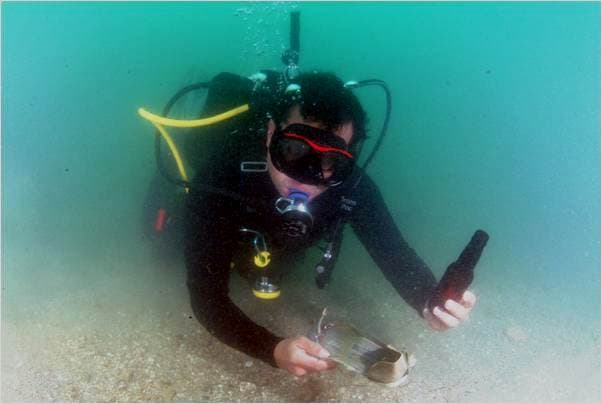 Sobre 12 mil voluntarios para la Limpieza Internacional de Costas