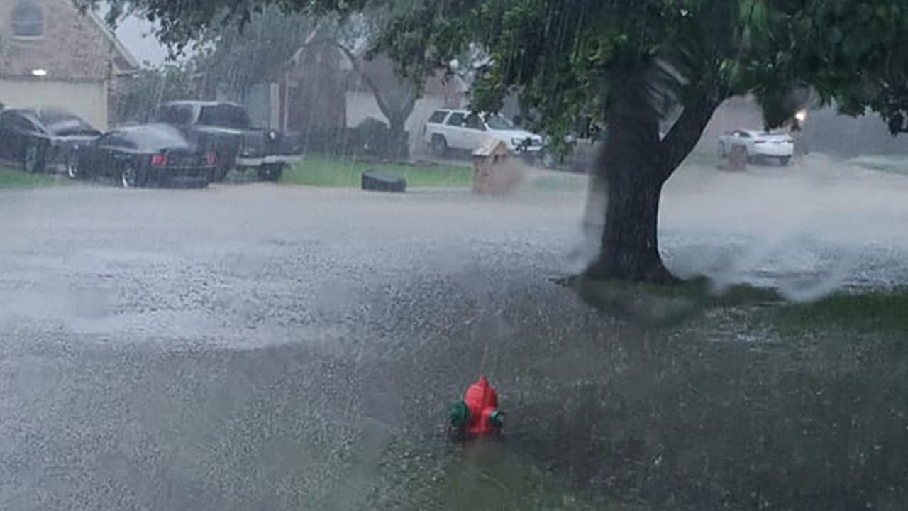 German Oqueli Ramos tomó estas imágenes en Pasadena, Texas.