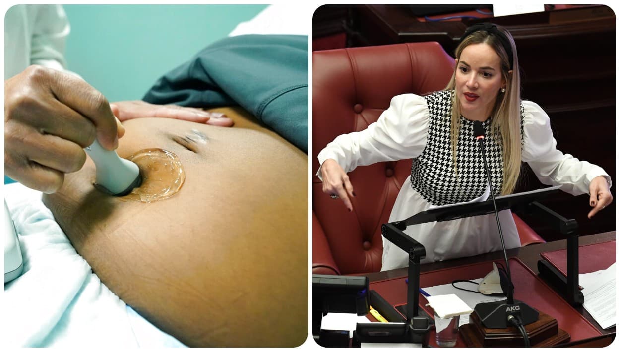  Asignan fechas a vistas públicas en el Senado sobre el proyecto que limita el derecho al aborto 